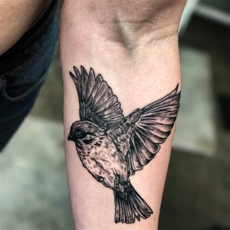 tattoos of sparrows